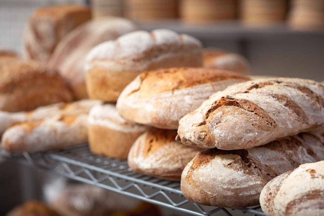 Elements that influence bread's shelf life