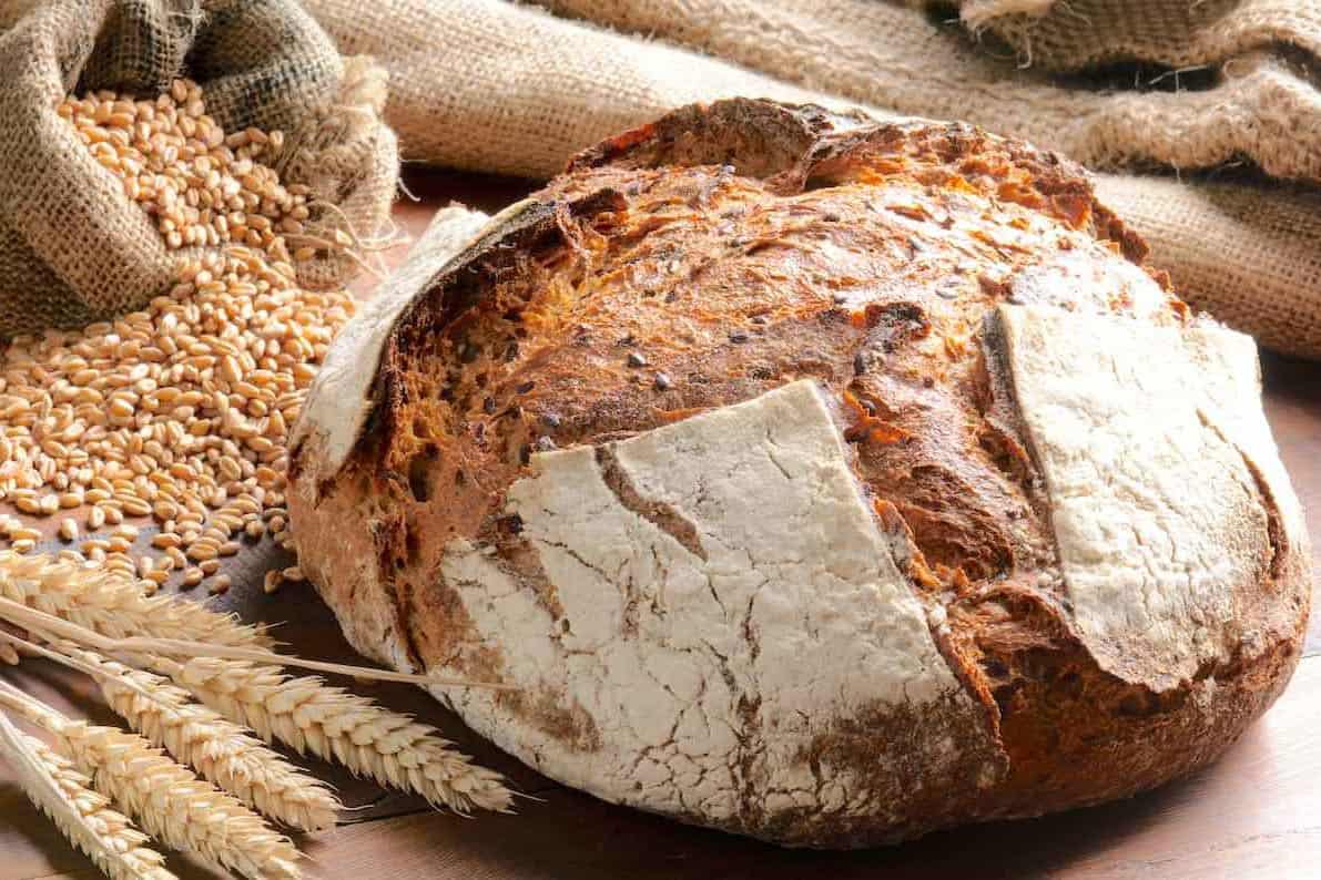 What happens when bread goes stale