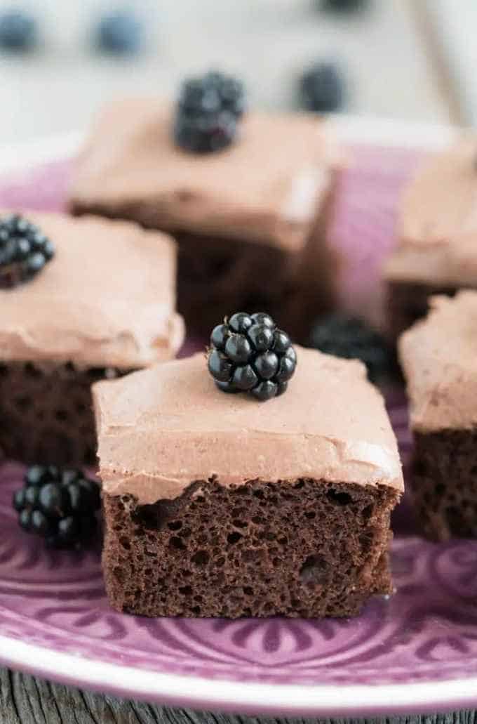 Chocolate Cake With Protein Powder